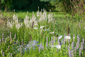 green grass and flowers