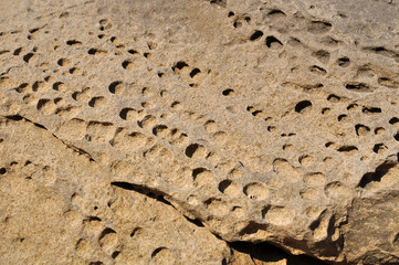 Natural texture of perforated stone structure