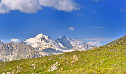 Fototapeta na wymiar view on snowy peak on a alpine glacier background of green meadow