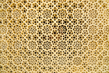 Carved marble window detail in Fatehpur Sikri