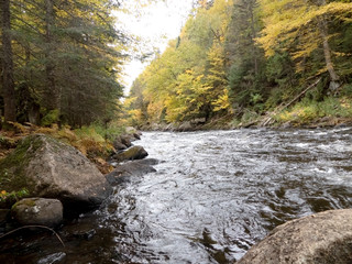 Rivière au milieu d'une montagne en automne 