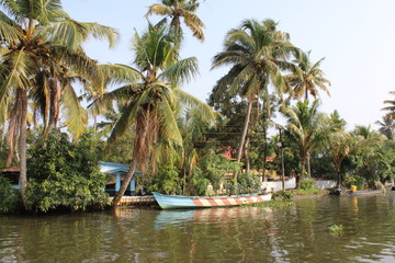 Obraz premium tropical beach with palm trees
