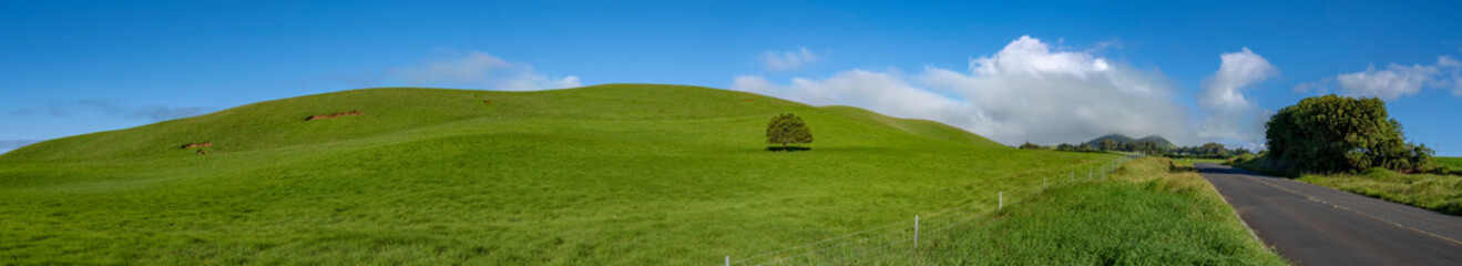 Rolling Hills in the Waimea area on Hawaii's Big Island