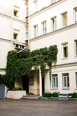 City building with ivy on it outside