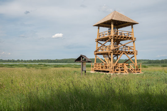 Bird watching tower near the lake 