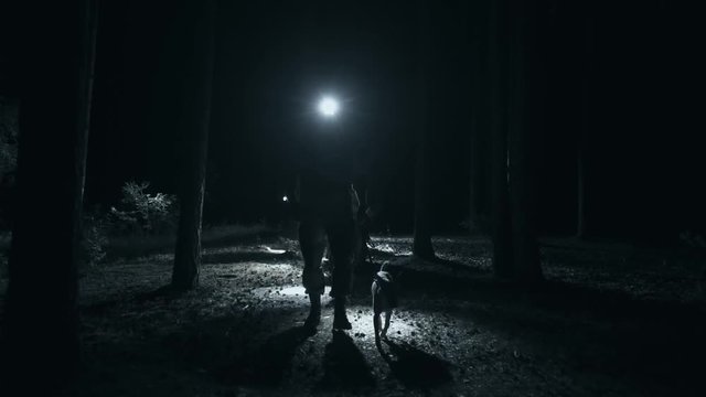 military with dogs explore the forest at night