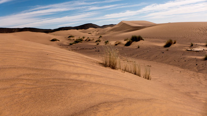 Fototapeta na wymiar Wanderung durch die Wüste Sahara im Süden von Marokko