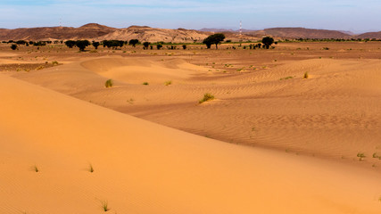 Wanderung durch die Wüste Sahara im Süden von Marokko