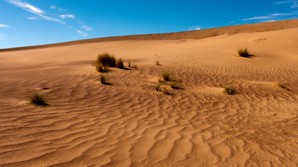 Wanderung durch die Wüste Sahara im Süden von Marokko