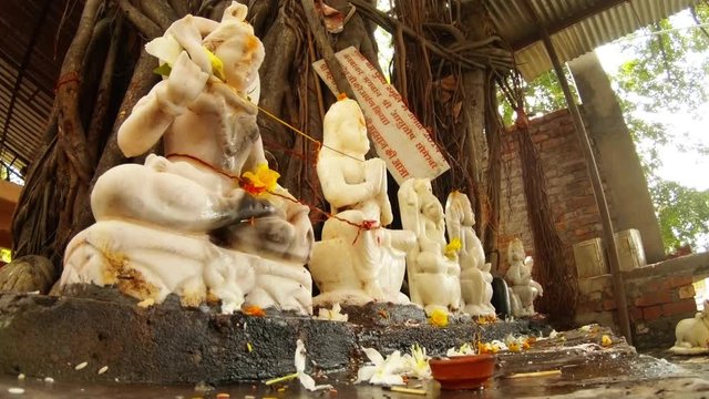 Marble statues of hindu gods under big banyan tree in ancient temple Rishikesh