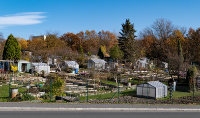 Typical small Czech garden near a big city for small-scale farming © mino21