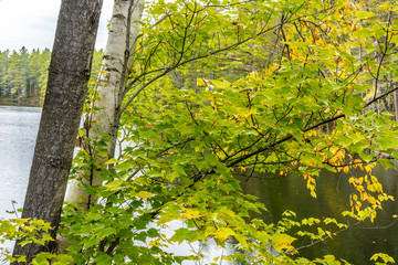 Fototapeta premium Early fall scene near Buck pond in the Adirondack Park of New York State.