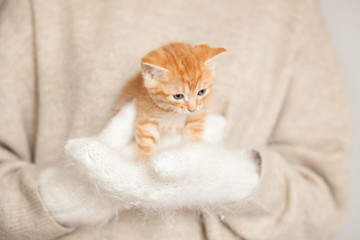 Fototapeta na wymiar Woman in warm cosy mittens holding cute red kitten