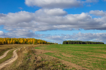 Fototapeta na wymiar autumn rural landscape in Chuvashia in Russia, shot on a clear day with variable clouds