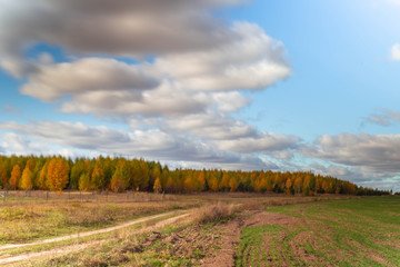 Fototapeta na wymiar autumn rural landscape in Chuvashia in Russia, shot on a clear day with variable clouds