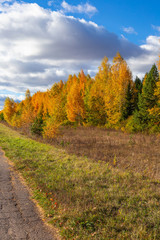 Fototapeta na wymiar the road with broken asphalt in Chuvashia in Russia, shot on a clear autumn day