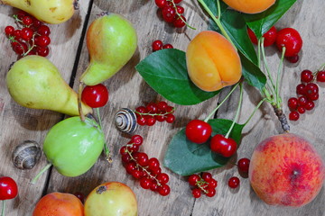 mixed fruit on the rustic table