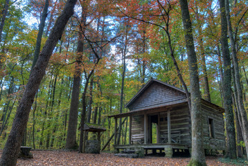 Cabin in Woods - 236174623