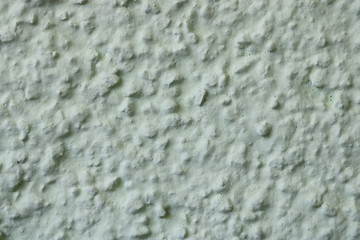 Abstract light green wall plastered texture. Rustic background