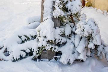 after christmas party