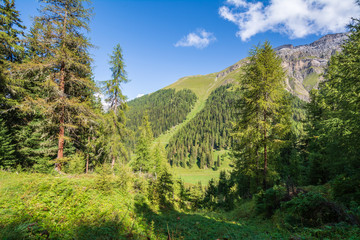 Aussicht vom Höhenweg ins Tal Trupchun