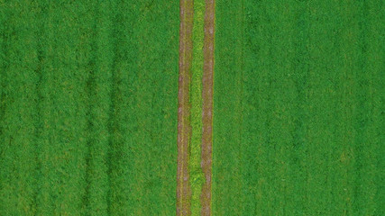 A track through a lush green field. Countryside road