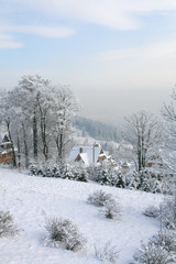 winter landscape with trees and snow