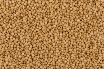 amaranth grain closeup