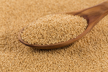 amaranth grain closeup