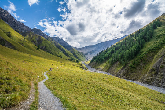 Wanderer auf dem Weg zur Alp Trupchun.