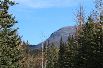 The Backcountry, Nordegg, Alberta