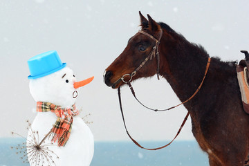 Funny Christmas or sports action: horse look to eating at carrot nose of big snowman, trick or...