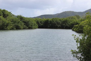 Obraz premium lagon dans les caraïbes