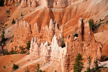 Bryce Canyon, USA, view from lookout point, huge rocks with trees