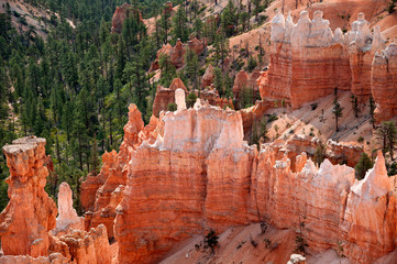 Bryce Canyon, USA, view from lookout point, with rocks and trees