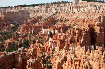 Bryce Canyon, USA, view from lookout point to the top of the hills
