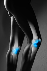 Human knee joint and leg in x-ray, on gray background. The knee joint is highlighted by blue colour.