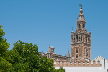 Fototapeta na wymiar Giralda, Sevilla, Andalusien, Spanien