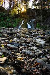 stream in autumn