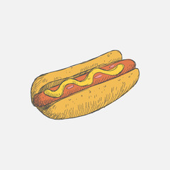 Colorful Fast food Hot Dog. Vector illustration.