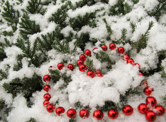 The texture of many conifer tree branches covered with snow and red beads in shape of a heart. Background for Christmas, New Year, Valentines day.