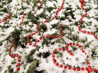 The texture of many conifer tree branches covered with snow and red beads. Bead heart in the corner. Background for Christmas, New Year, Valentines day.