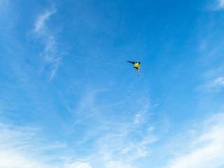 Naklejka na ściany i meble A lonely kite flying high in the sky of the Ameland island in the Netherlands in Autumn - 2