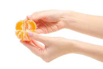 Mandarin tangerine in hand on a white background isolation