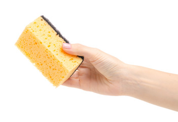Clean kitchen sponge in hand on white background isolation