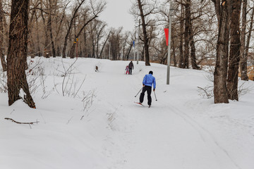 Winter landscape with cross-country skiing tracks, winter forest