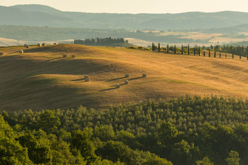 Fototapeta premium A lovely view over the hills of tuscany in the morhing sun