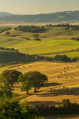 Fototapeta na wymiar A lovely view over the hills of tuscany in the morhing sun