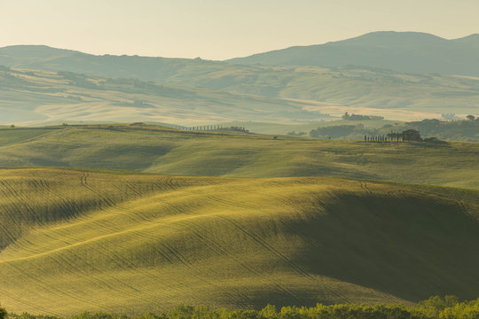 The lovely iconic landscapes of Tuscany in the morning sun