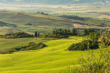 A lovely view over the hills of tuscany in the morhing sun